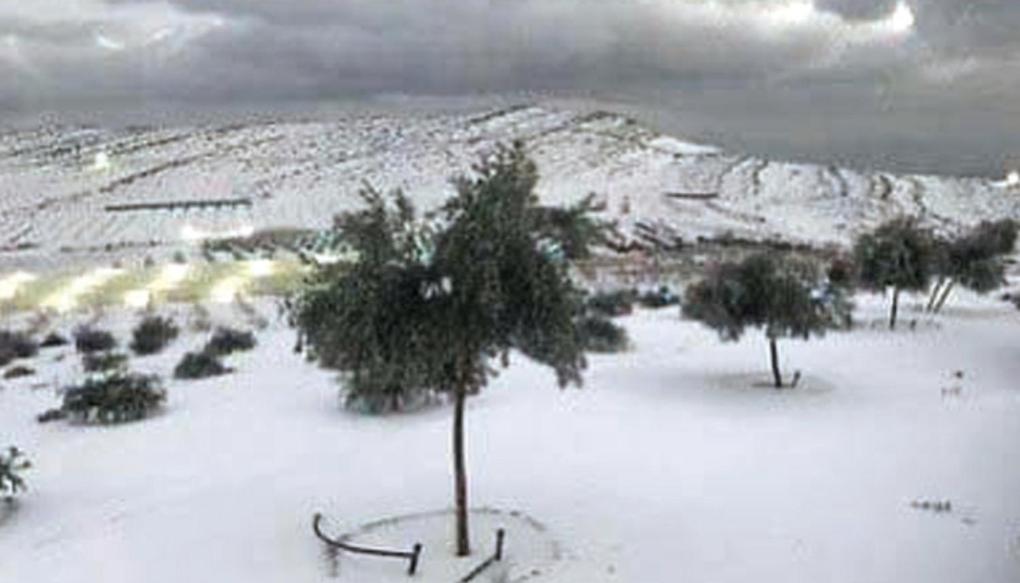 شاليهات ليماس رأس الخيمة المظهر الخارجي الصورة